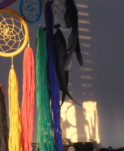 Reflections of 2 Dream Catchers 